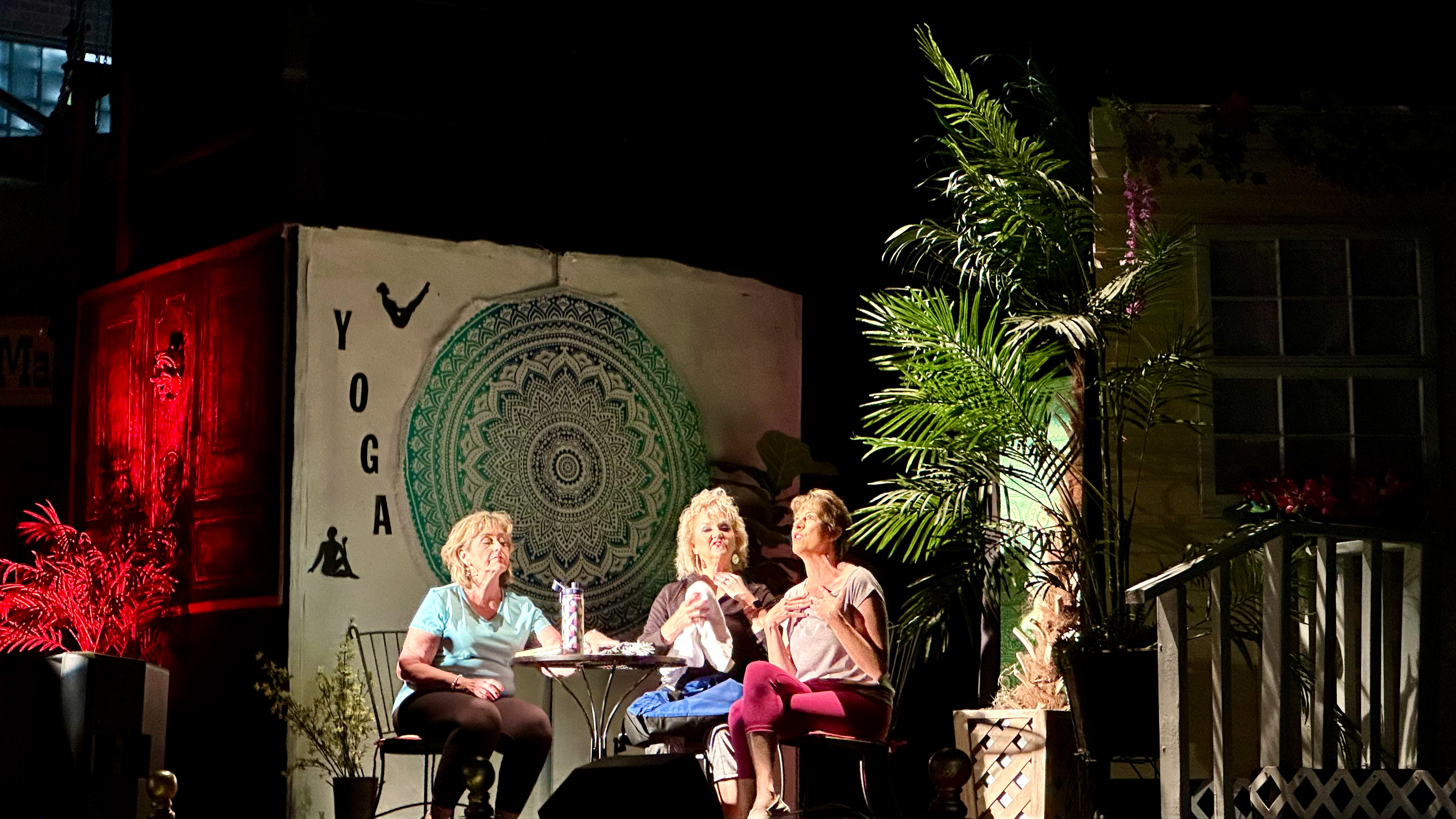 
          Cast of The Savannah Sipping Society: Theresa Stanley, Tammy Bradley and Danya Zimbauer (left to right)
          
          