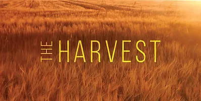 
            The Harvest
            
            